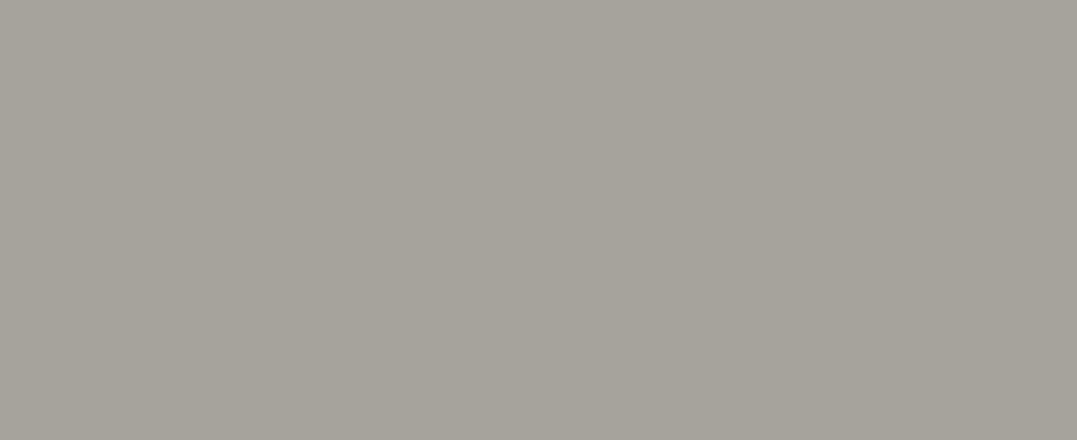 Ash Gray metal color sample