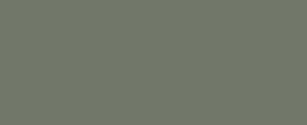 Colony Green metal color sample