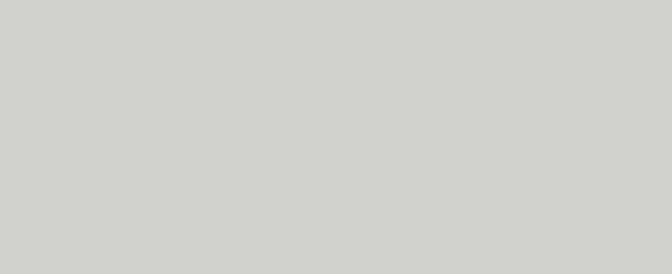 Polar White metal color sample